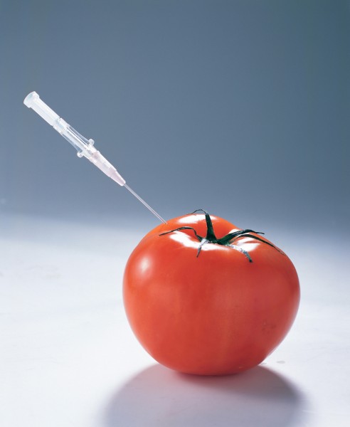 生活创意情景图片