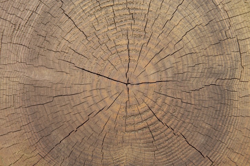 木纹背景图片