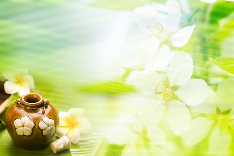 水疗SPA背景图片
