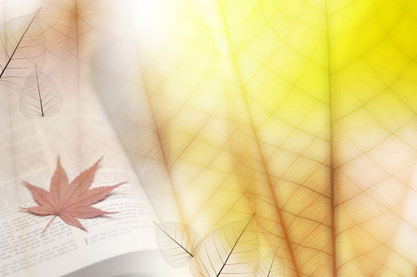 水疗SPA背景图片