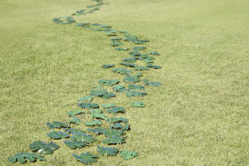 环保创意绿色概念图片