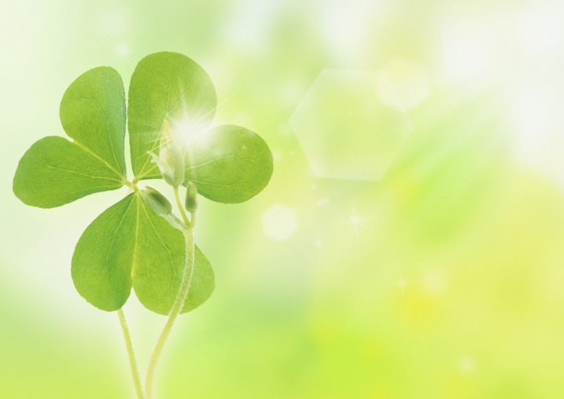 空气和水的绿意图片