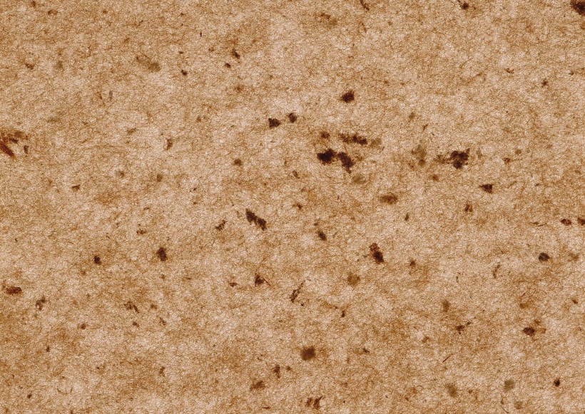 纸张纹理图片素材大全