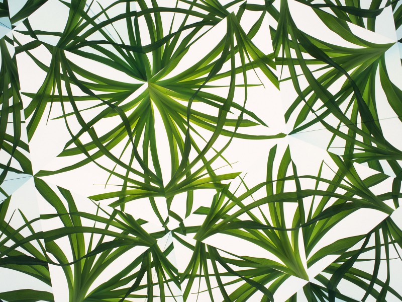 万花筒花卉底纹图片