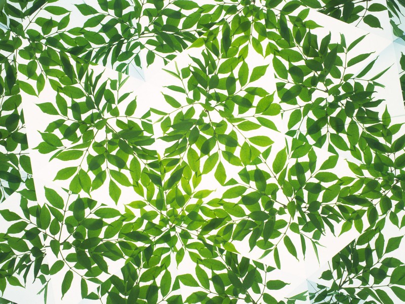 万花筒花卉底纹图片