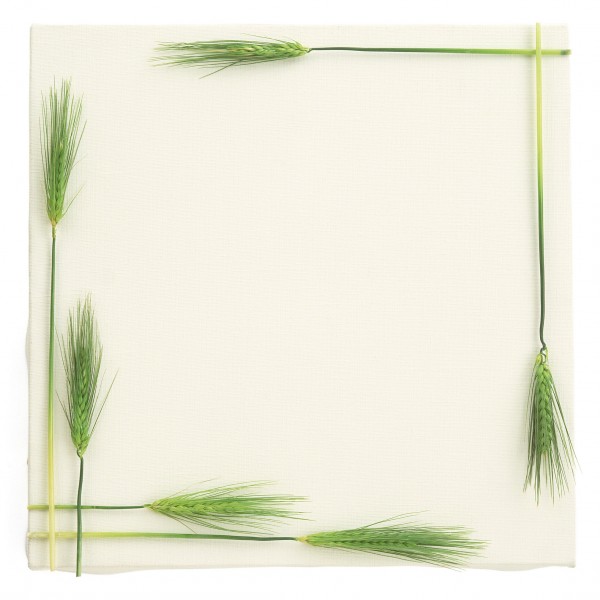 精美花草相框图片