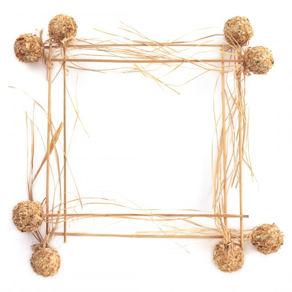 精美花草相框图片