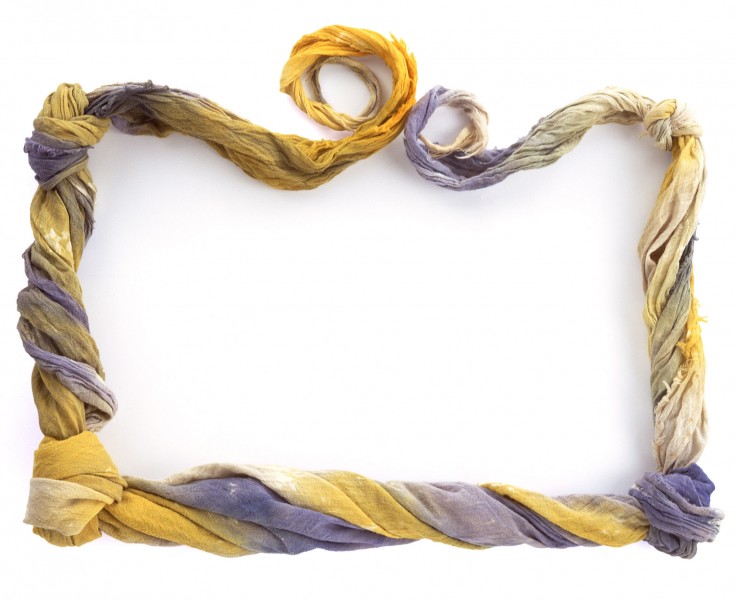 精美花草相框图片