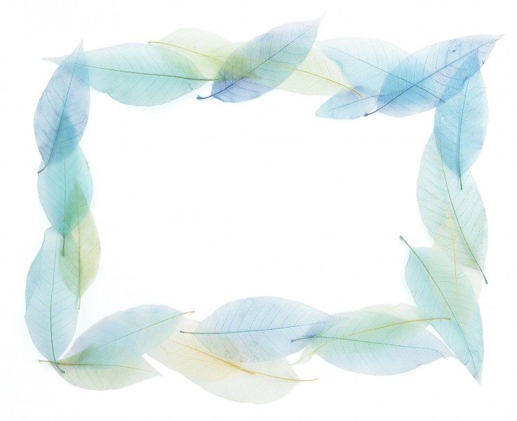 精美花草相框图片