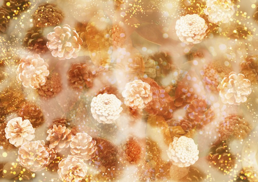 梦幻花朵图片大全