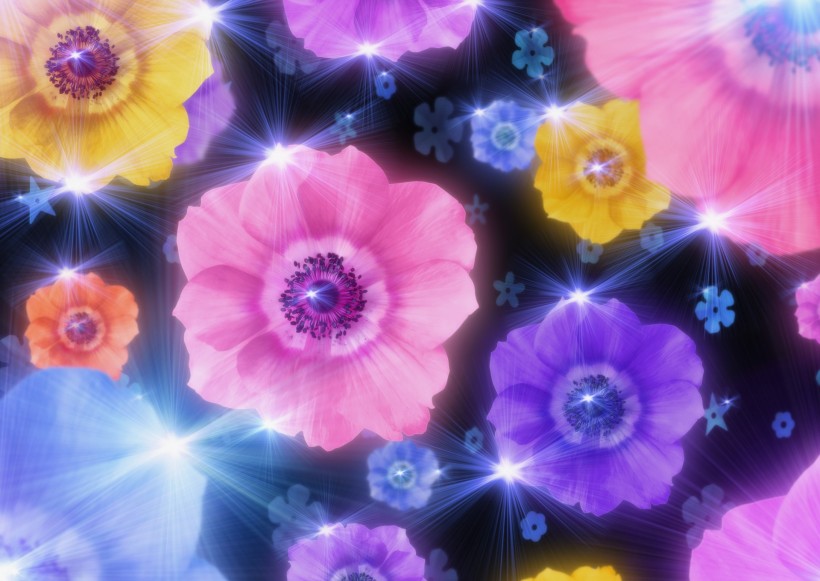 梦幻花朵图片大全