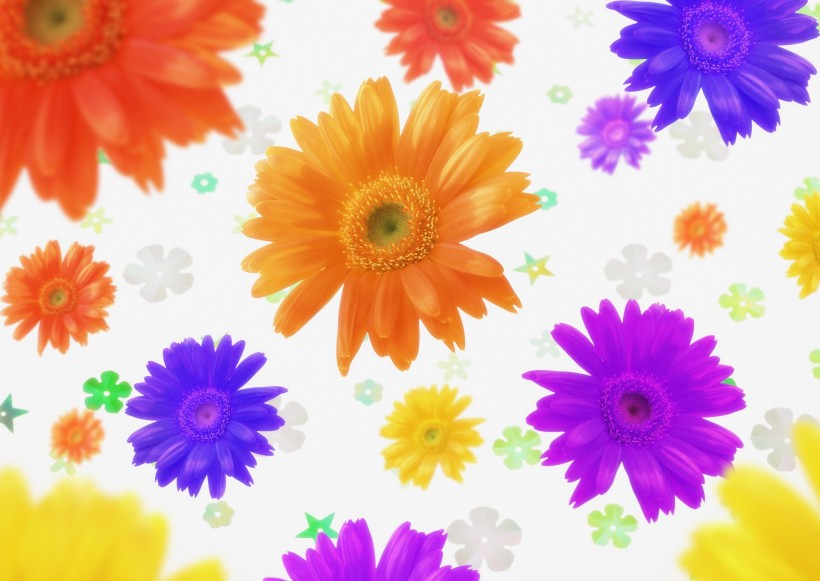 梦幻花朵图片大全