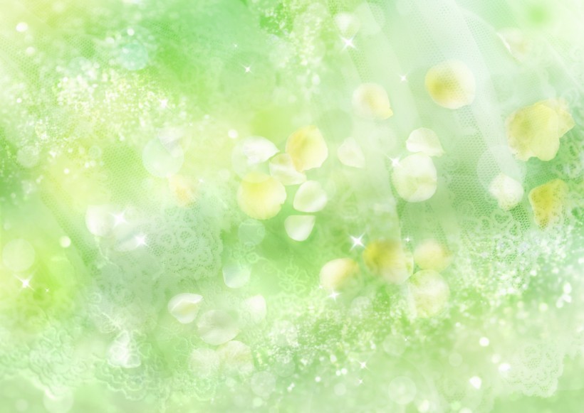 鲜花季节之春图片