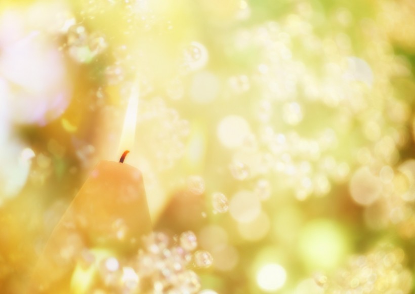 鲜花季节之秋图片