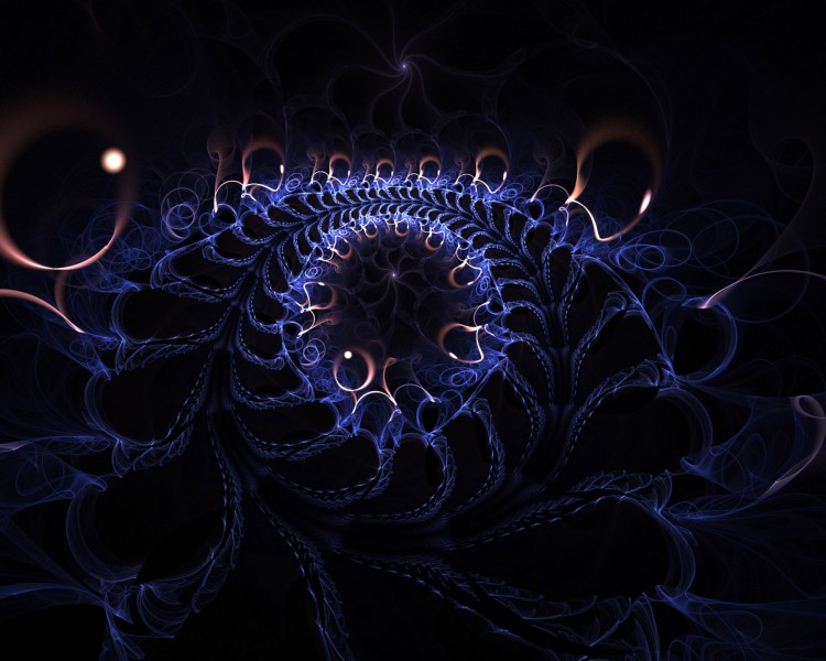 绚丽花纹背景图片