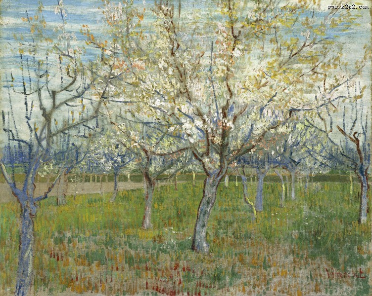 梵高风景绘画之树图片大全