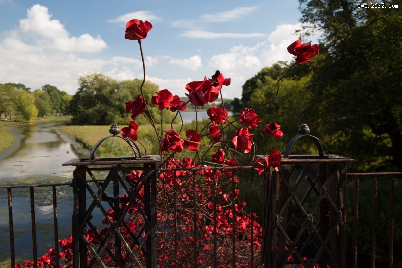铁艺红色罂粟花图片