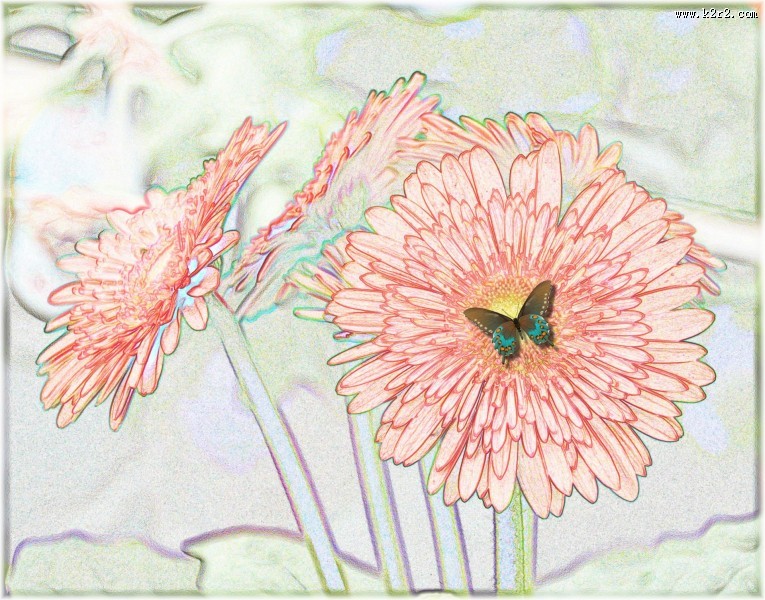 彩色素描花卉图片