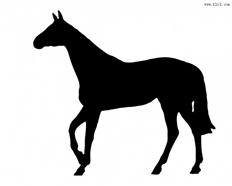 马的剪影图片