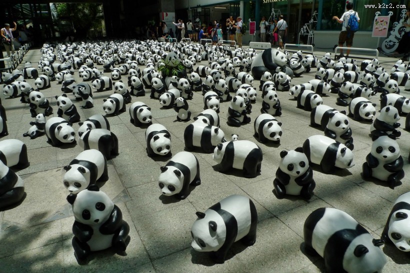 纸糊熊猫展图片