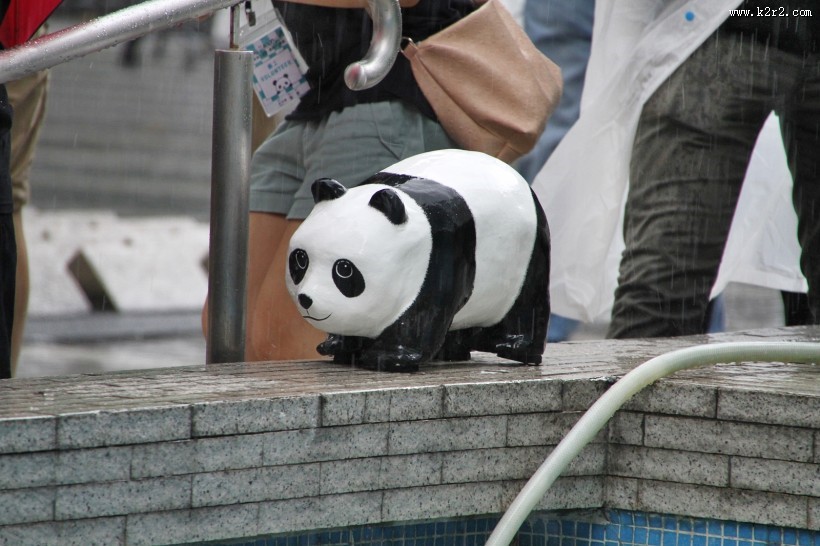 纸糊熊猫展图片