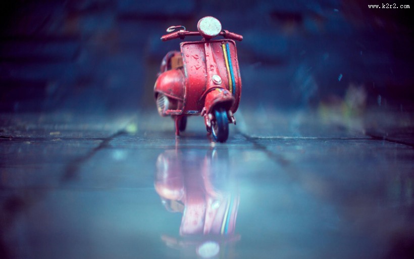 唯美小清新静物摄影图片大全