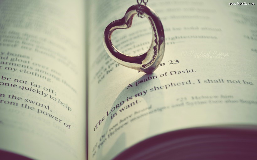 唯美小清新静物摄影图片大全