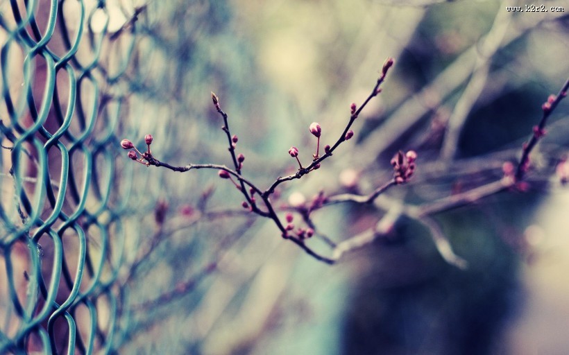 铁丝网创意摄影图片