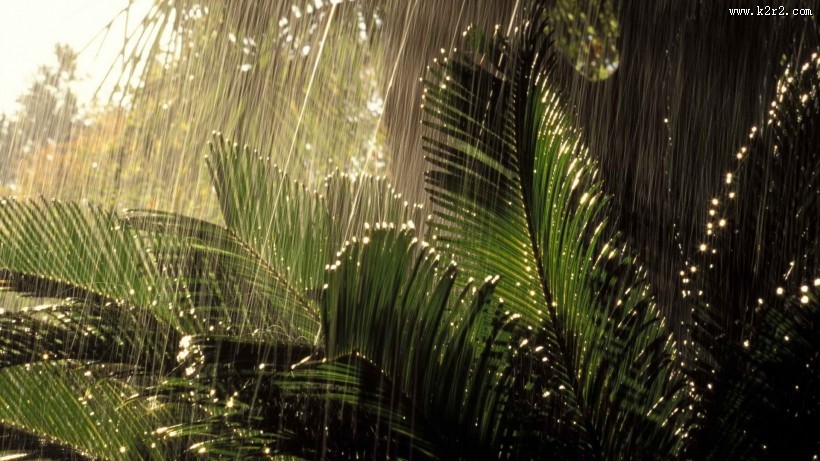 唯美雨天风景图片