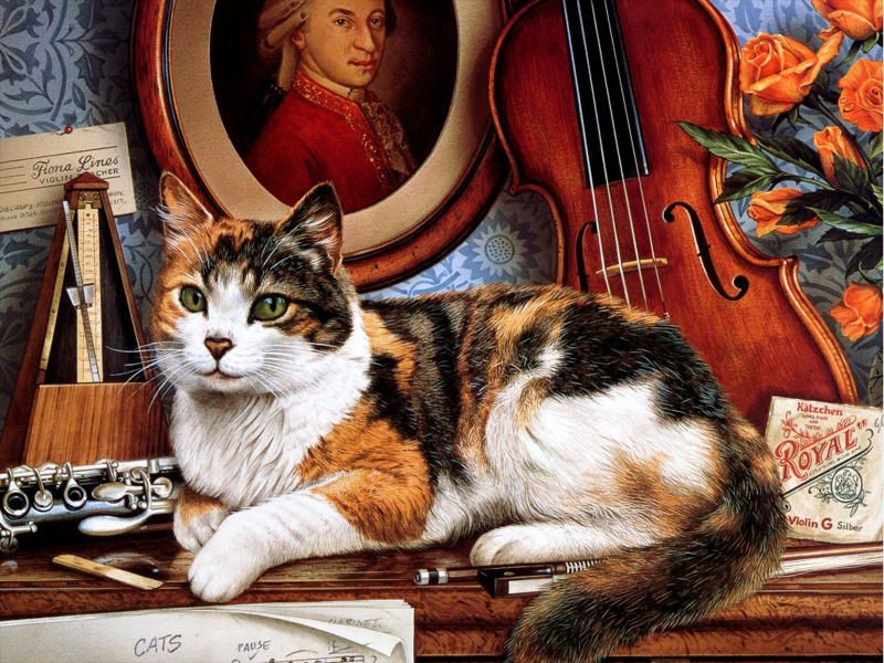 手绘猫咪可爱图片