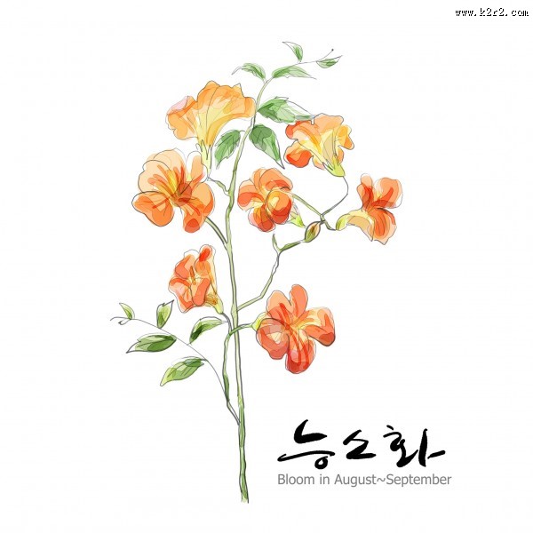 花草素描图片大全