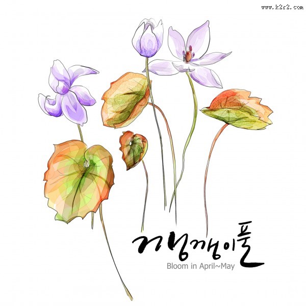 花草素描图片大全