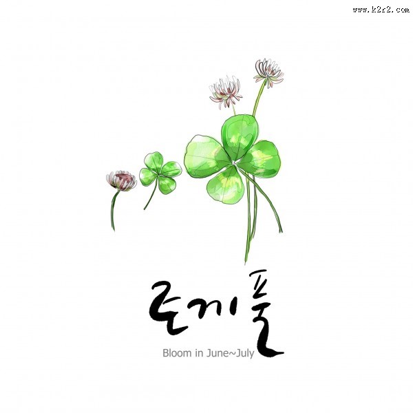 花草素描图片大全