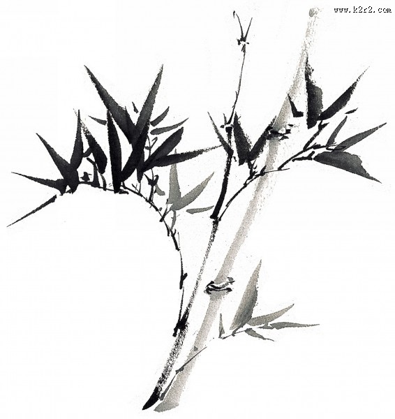 水墨竹子图片大全