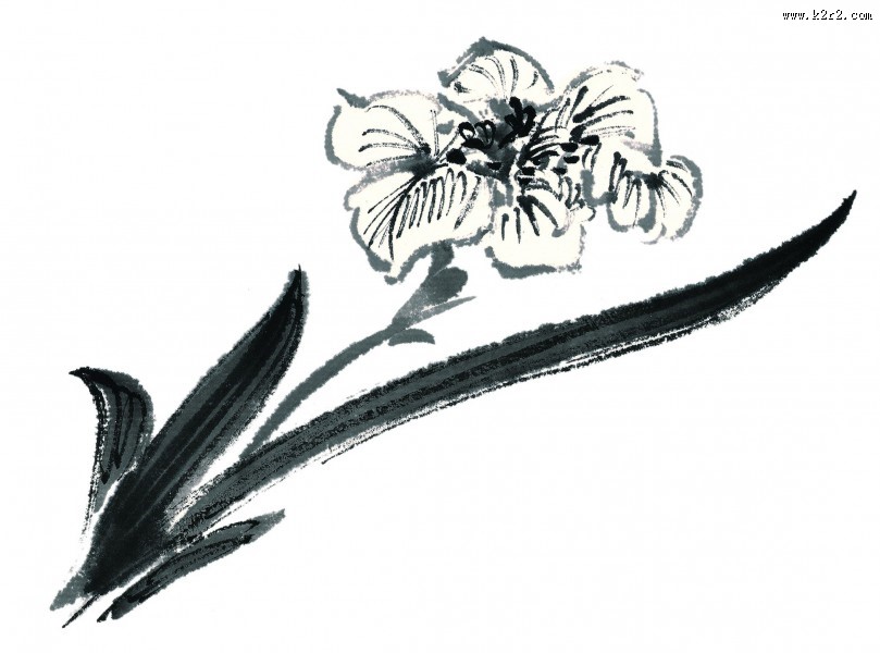 水墨花卉图片