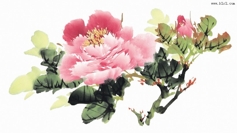 国画牡丹图片