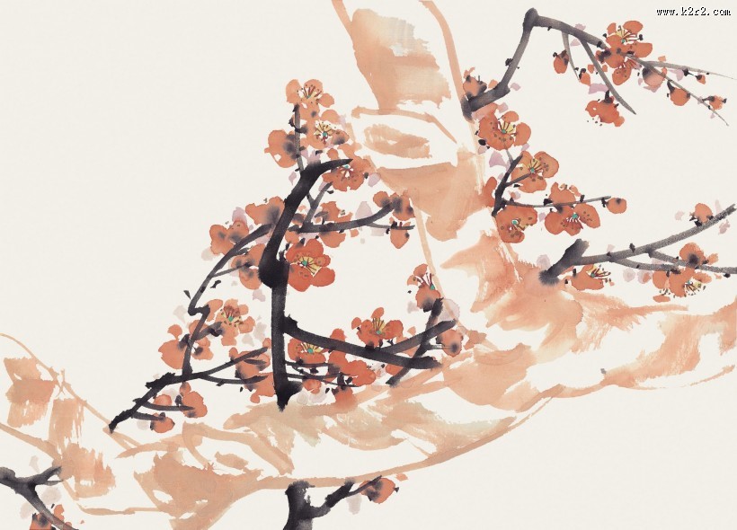 国画梅花图片大全