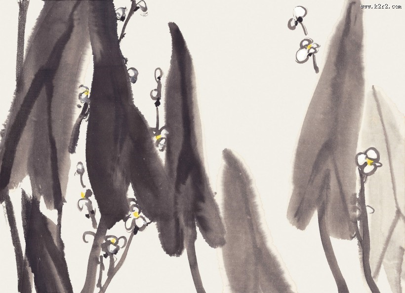 国画梅花图片大全
