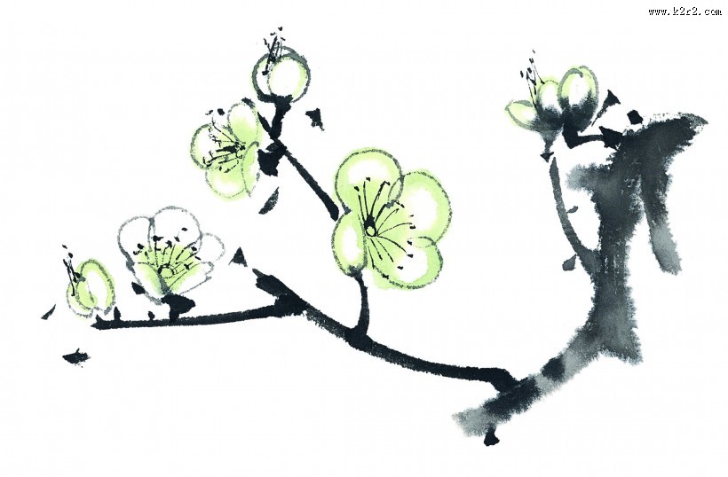 国画梅花图片大全