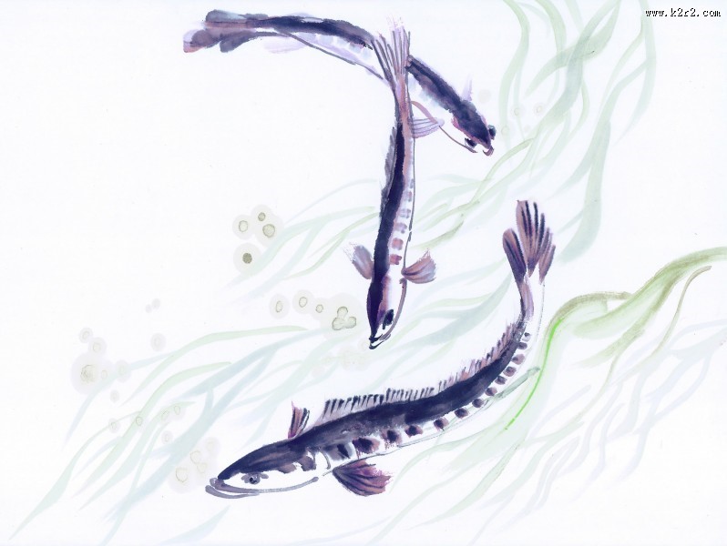 国画鱼图片