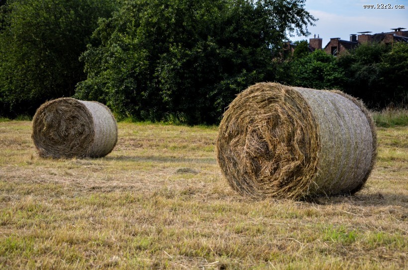 秋天的草垛图片