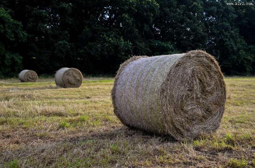 秋天的草垛图片