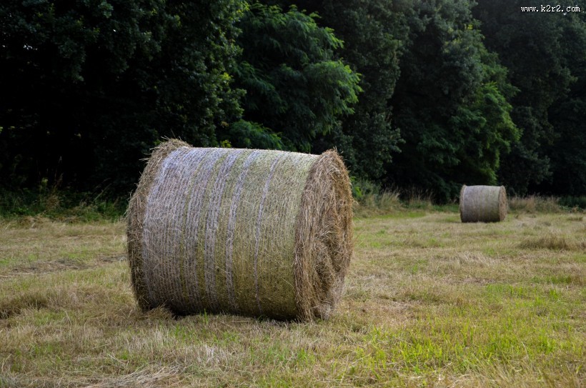秋天的草垛图片