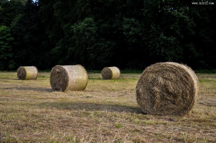 秋天的草垛图片