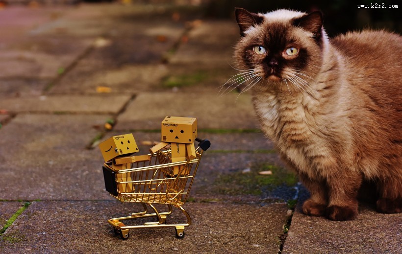 购物车上的纸箱人图片