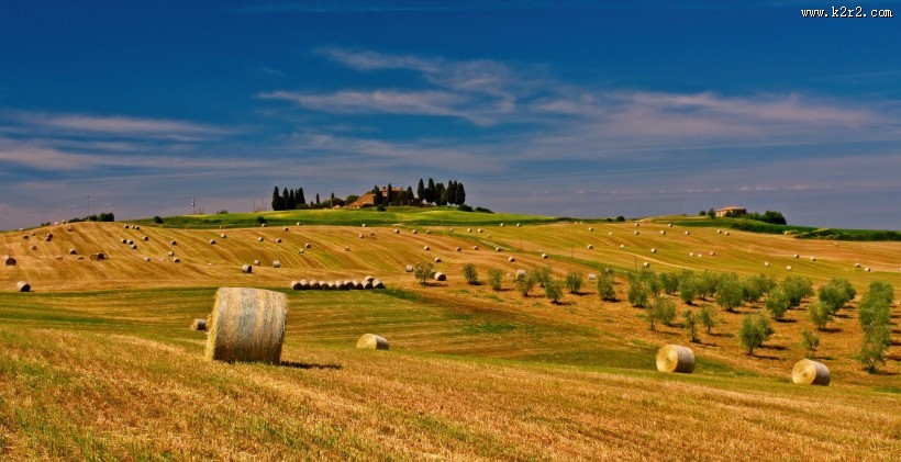 卷成圆形的干草图片