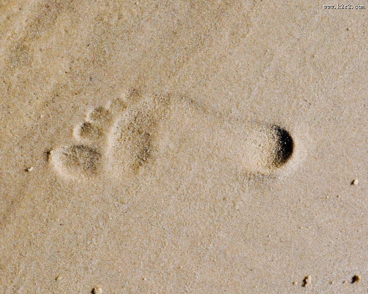 沙滩上的脚印图片