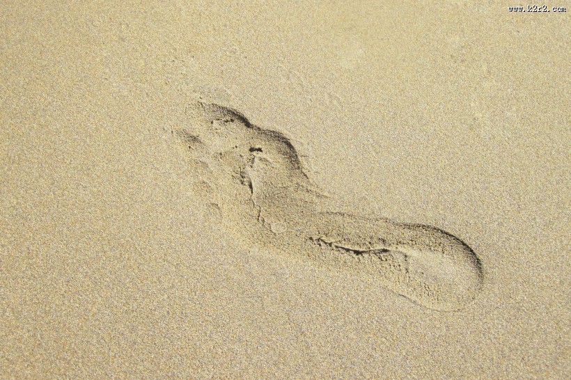 沙滩上的脚印图片