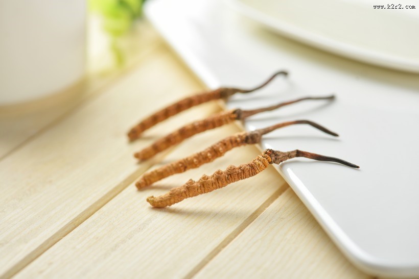 高品质的虫草图片大全
