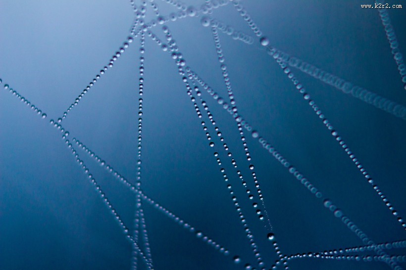 带水珠的蜘蛛网图片